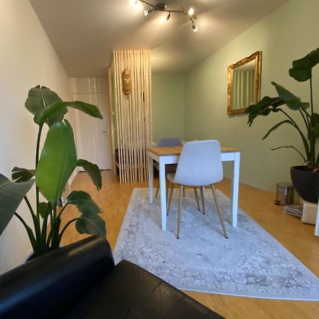 Appartement Limmatspitz à Gebenstorf Extérieur photo
