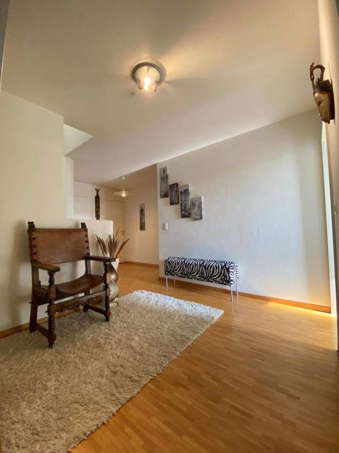 Appartement Limmatspitz à Gebenstorf Extérieur photo