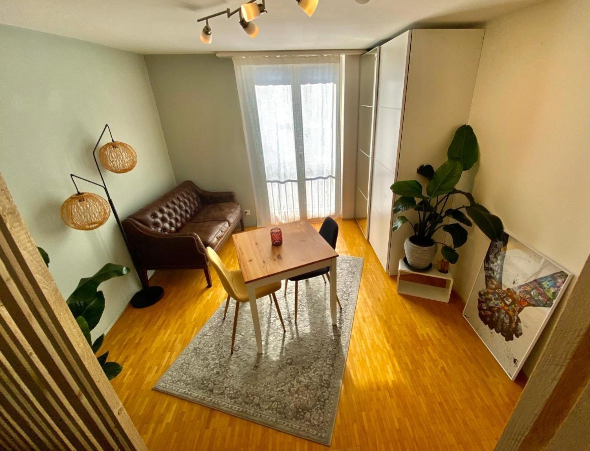 Appartement Limmatspitz à Gebenstorf Extérieur photo