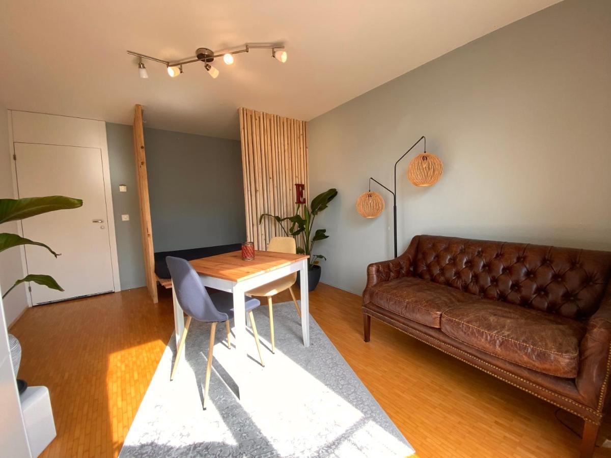 Appartement Limmatspitz à Gebenstorf Extérieur photo
