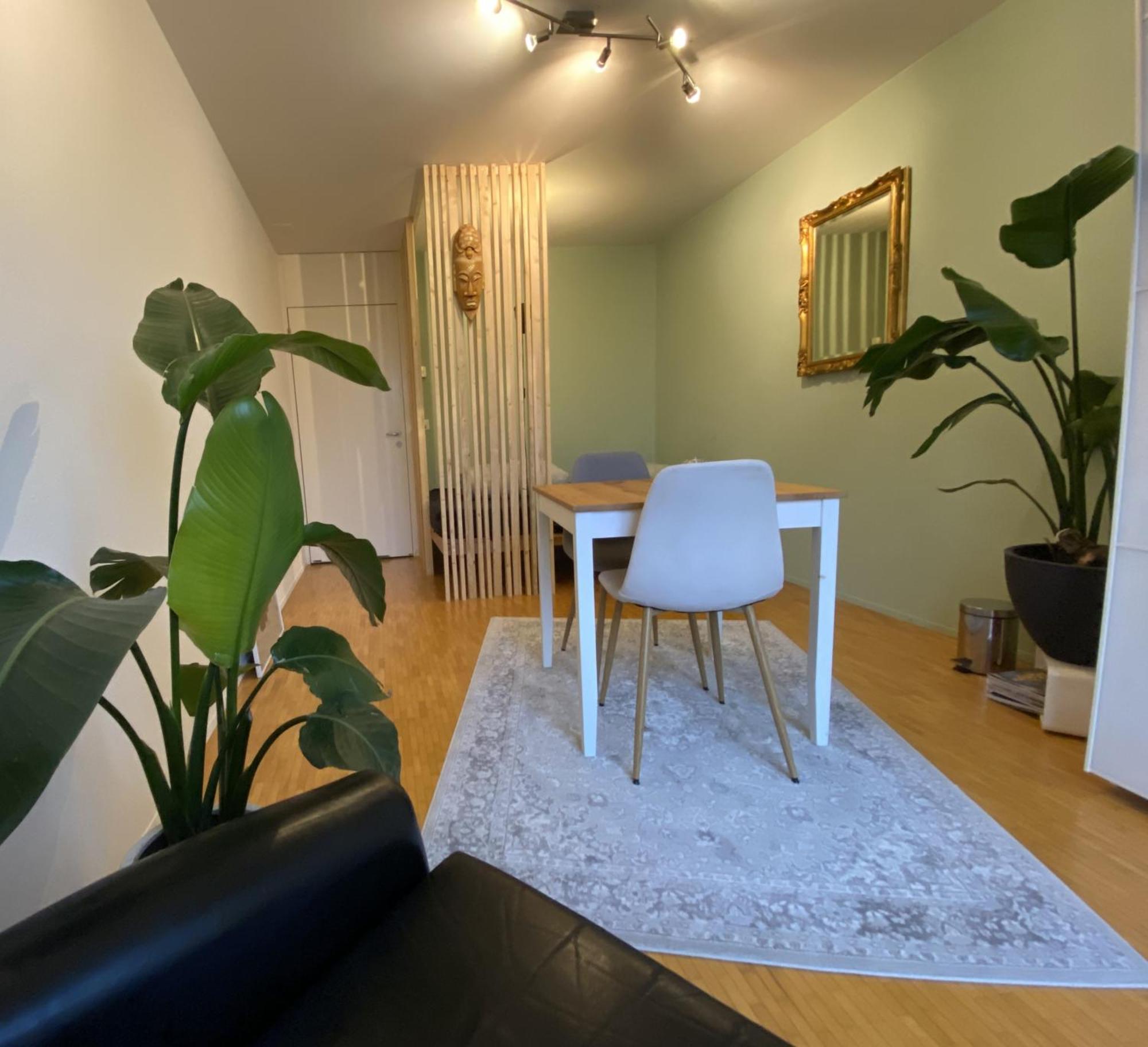 Appartement Limmatspitz à Gebenstorf Extérieur photo